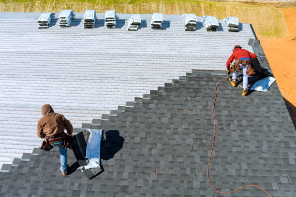 Best Roof Insulation Installation  in Olton, TX